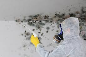 Best Forensic Mold Investigation  in Newfoundland, NJ